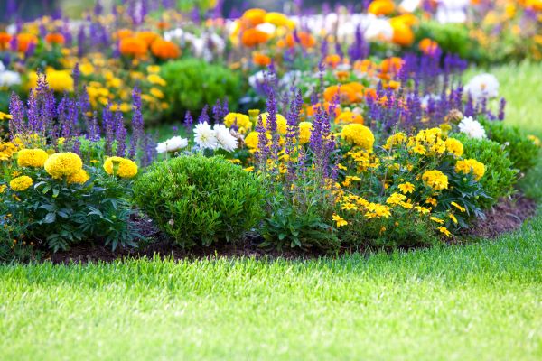 Flower Bed Maintenance in Rockford