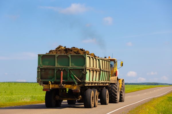 Bulk Soil Delivery in Rockford