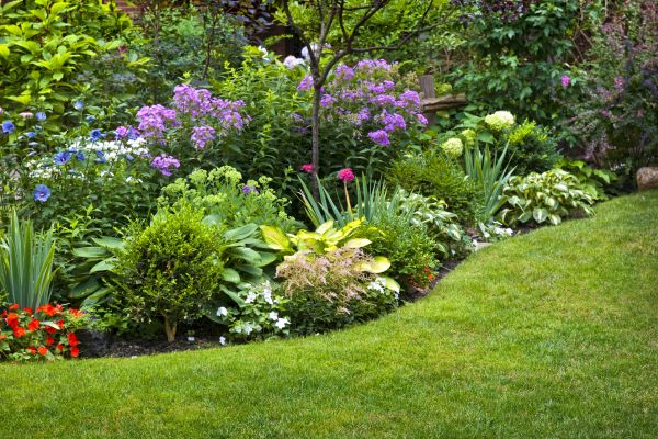 Flower Bed Service in Rockford