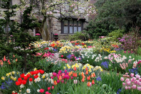 Garden Maintenance Service in Rockford