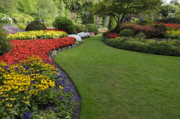 Landscaping Maintenance in Rockford