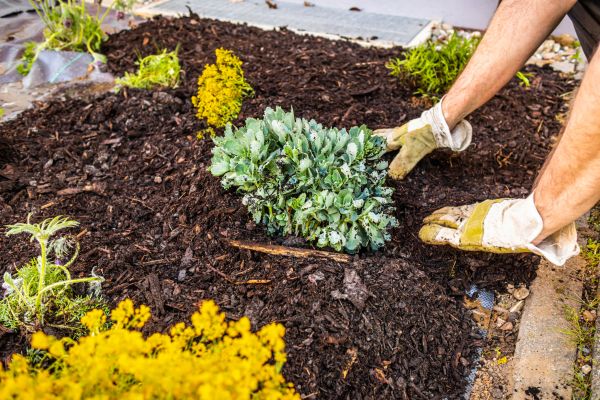 Weeding And Mulching in Rockford