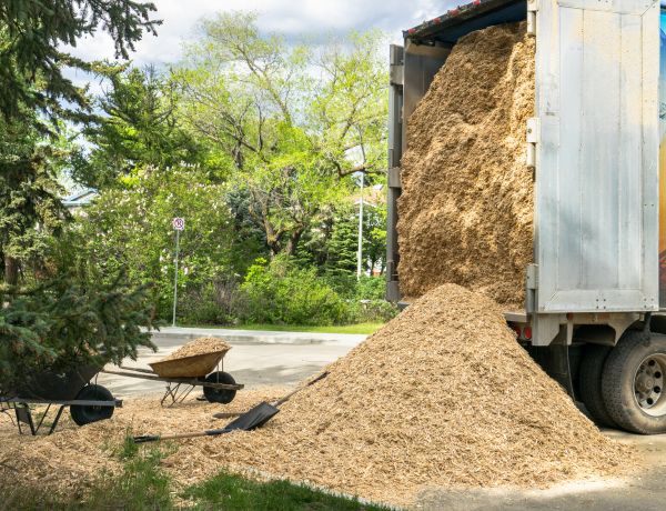 Wood Chips Delivery in Rockford