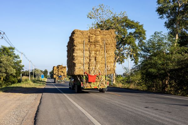 Pine Straw Delivery in Rockford