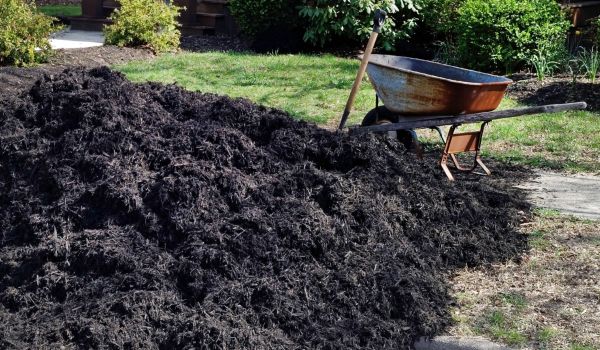 Black Mulch Delivery in Rockford