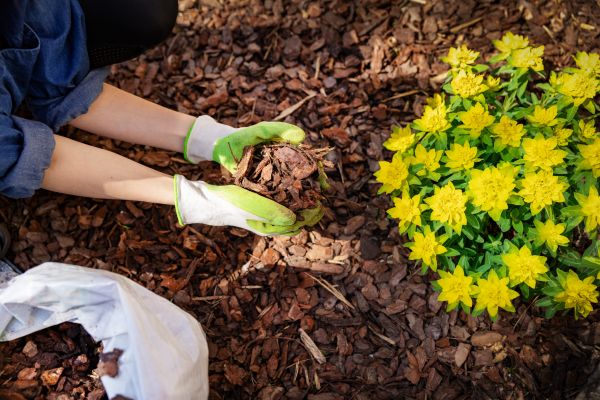 Garden Mulching in Rockford