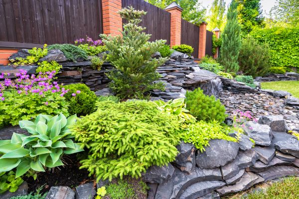 Landscape Remodeling in Rockford