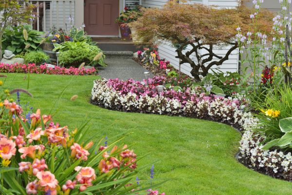 Perennial Landscaping in Rockford