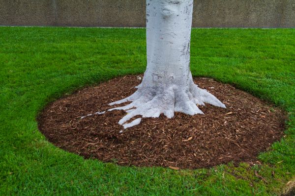 Brown Mulch Installation in Rockford