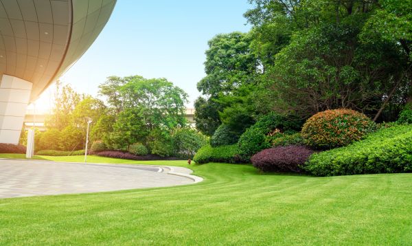 Business Landscape Design in Rockford