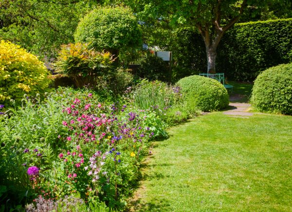Yard Landscaping Service in Rockford