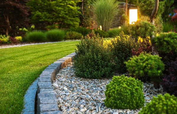 Landscaping Service in Rockford
