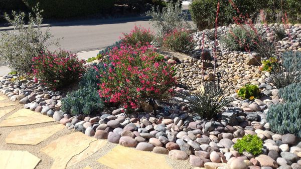 Xeriscape Landscaping in Rockford