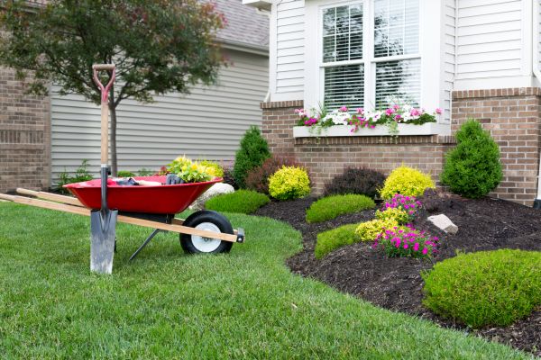 Tree And Shrub Planting in Rockford