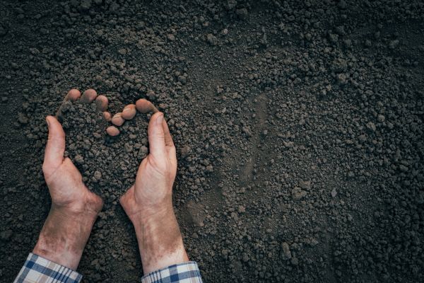 Soil Installation in Rockford