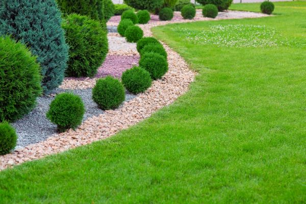 Edging Stones Installation in Rockford