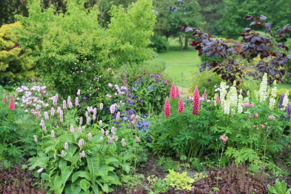 Flower Bed Planting in Rockford