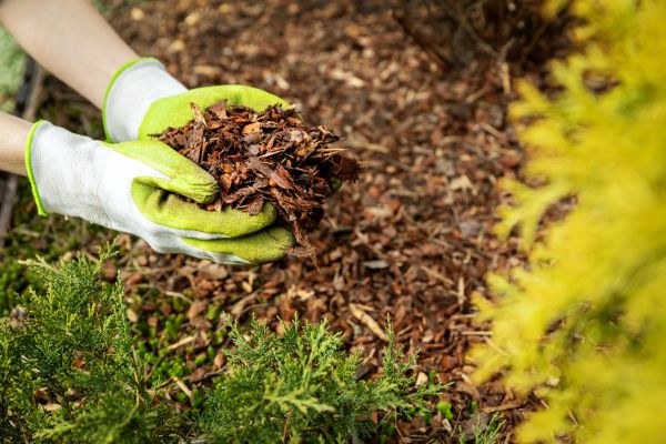 Garden Mulch Delivery in Rockford