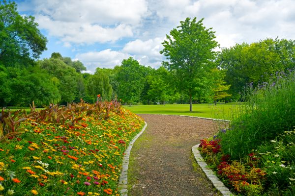 Park Landscaping in Rockford