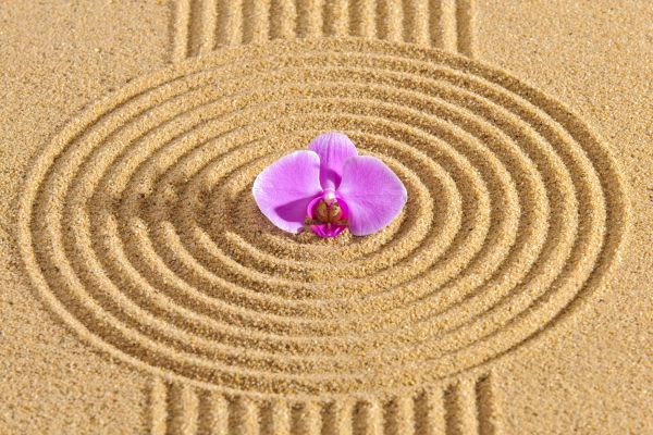 Sand Garden Landscaping in Rockford