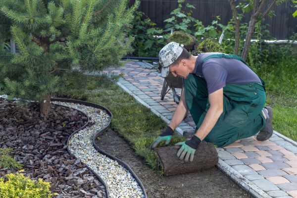 Landscaping Modification in Rockford