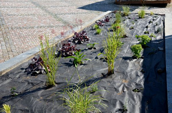 Landscape Fabric Installation in Rockford