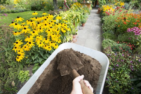 Topsoil Replacement in Rockford