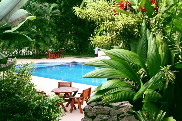 Pool Area Landscaping in Rockford