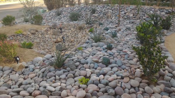 Yard Xeriscaping in Rockford