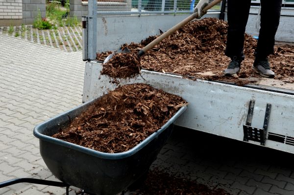 Playground Mulch Delivery in Rockford