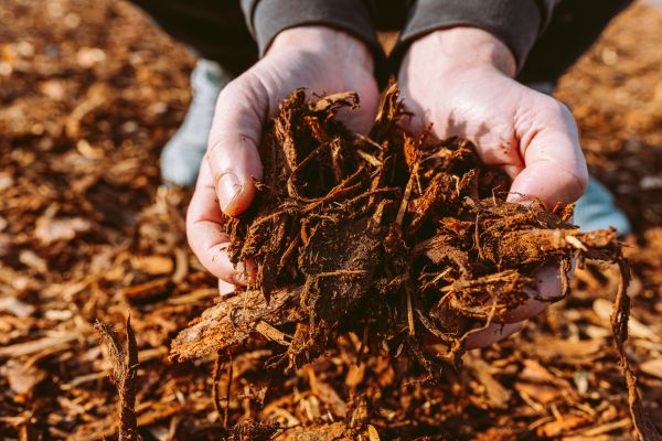 Bark Chips Delivery in Rockford