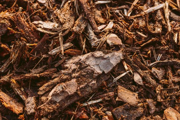 Bark Mulch Delivery in Rockford