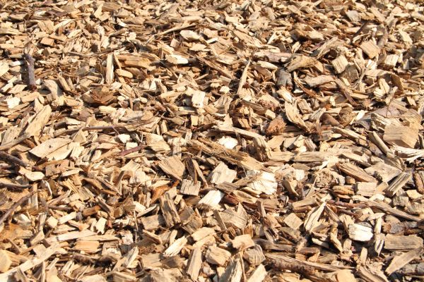 Wood Mulch Delivery in Rockford