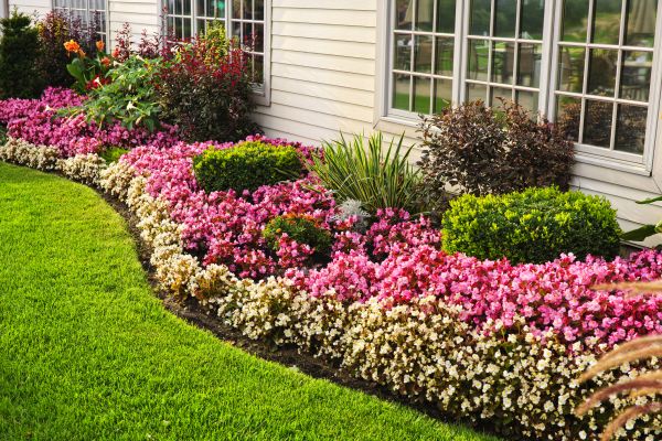 House Landscaping in Rockford