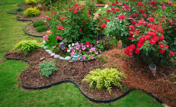 Floral Landscaping in Rockford