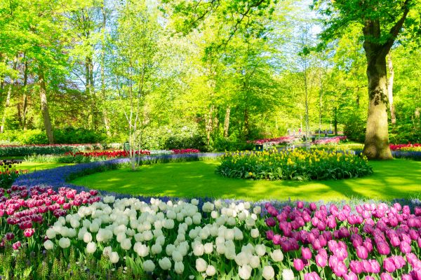 Flower Landscaping in Rockford