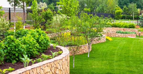 Yard Makeover Service in Rockford