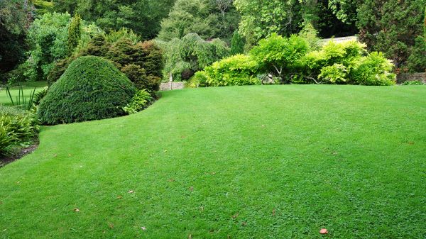 Commercial Landscape Design in Rockford