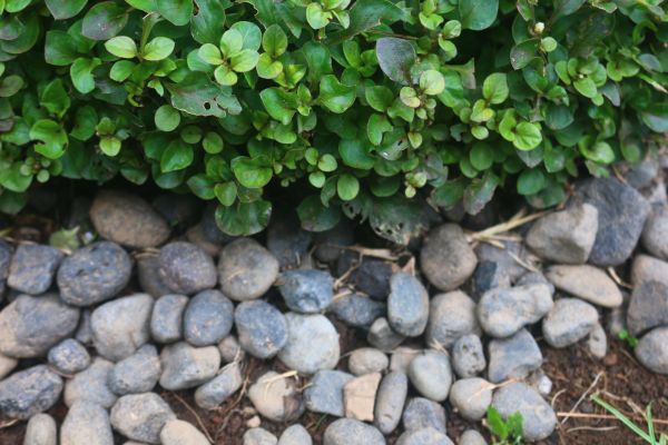 River Stone Installation in Rockford