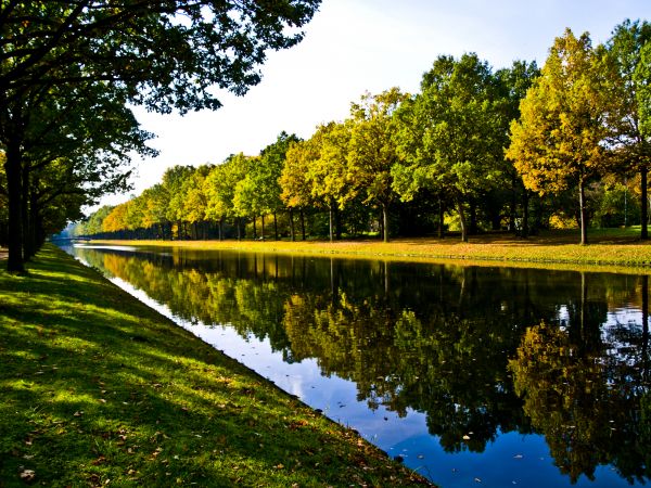 Bank Landscaping in Rockford