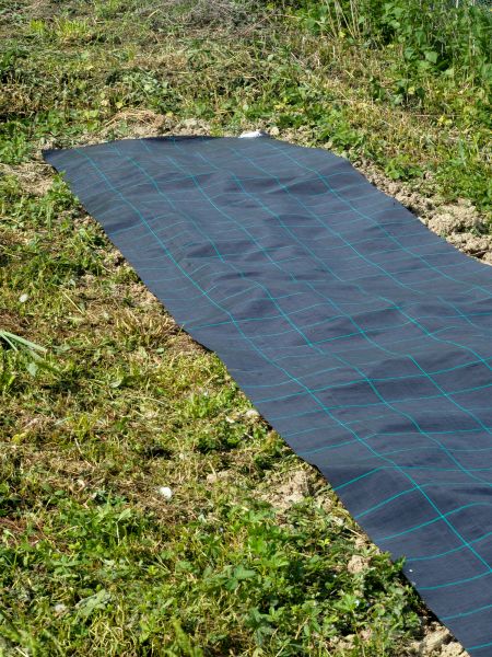 Weed Suppressant Installation in Rockford