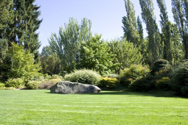 Yard Enlargement in Rockford