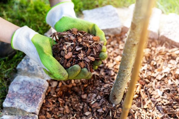Tree Bark Delivery in Rockford