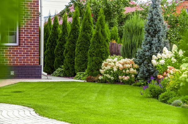 Spring Landscaping in Rockford