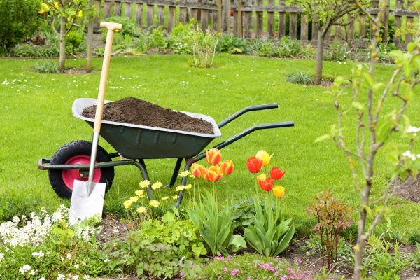 Spring Yard Renovation in Rockford