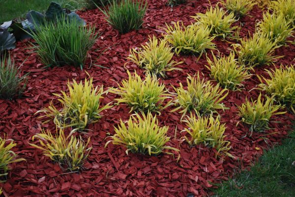 Red Mulch Installation in Rockford