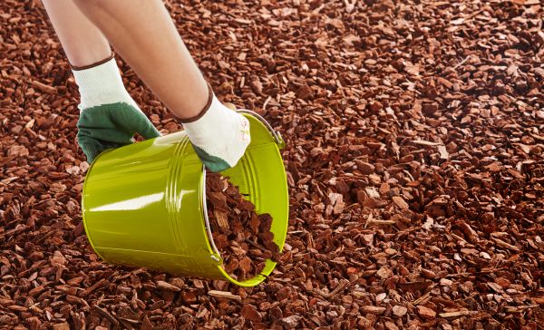 Wood Chip Landscaping in Rockford