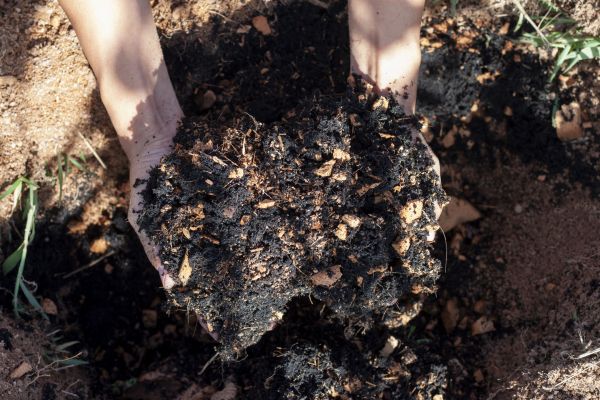 Organic Mulch Installation in Rockford