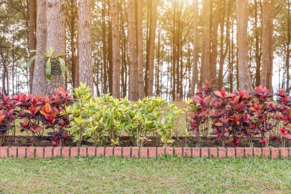 Small Garden Landscaping in Rockford