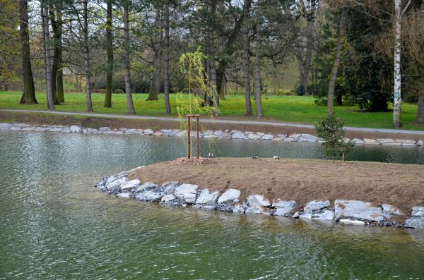 Pond Landscaping Service in Rockford